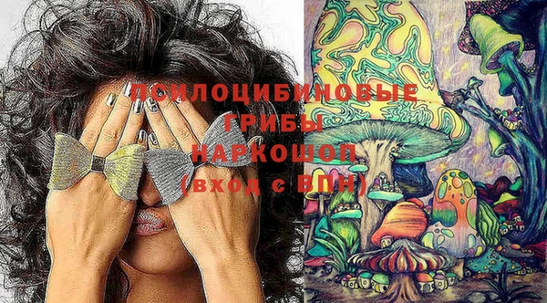 крисы Беломорск