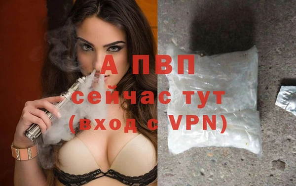 таблы Белокуриха