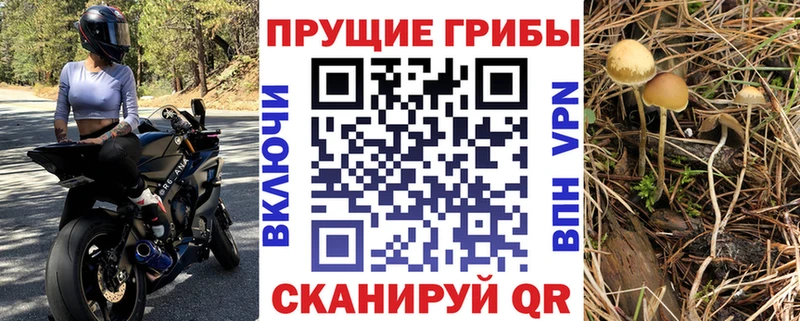 купить наркоту  Моздок  Галлюциногенные грибы Magic Shrooms 